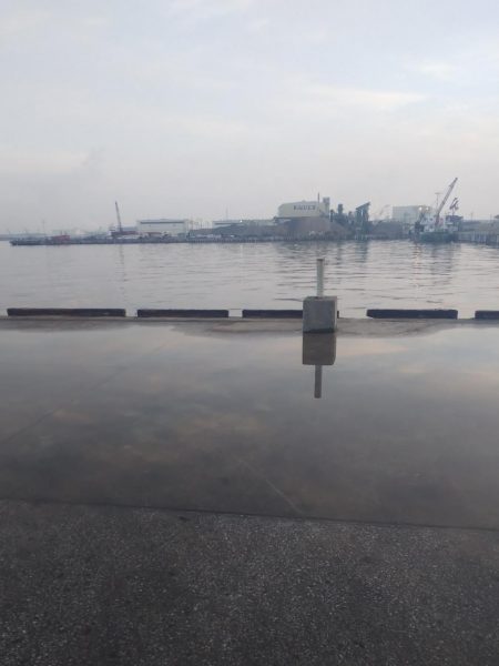 ライトエギング