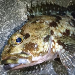 仕事帰りにちょっとだけ