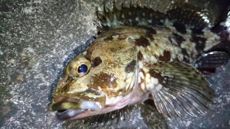 仕事帰りにちょっとだけ