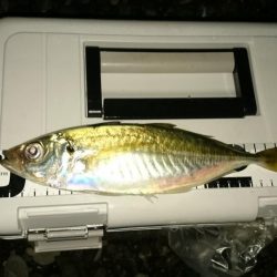 フロートアジング～