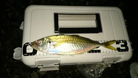 フロートアジング～