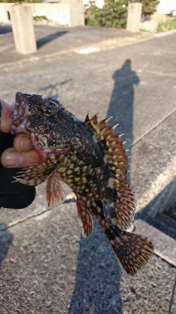 南紀ライトゲーム