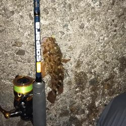 春はまだ告げられず・・・