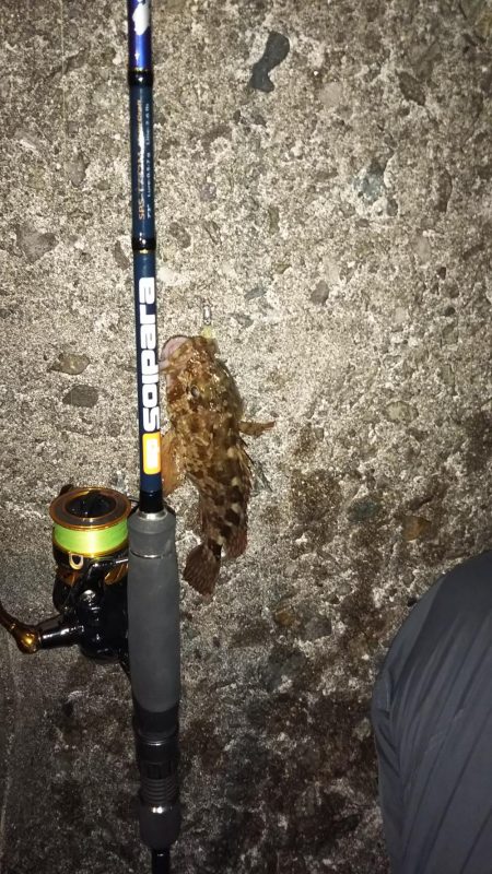 春はまだ告げられず・・・