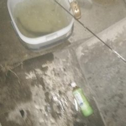 ナイトルアーフィッシング　シーバス