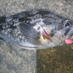 仕事帰りに少しだけ