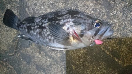 仕事帰りに少しだけ