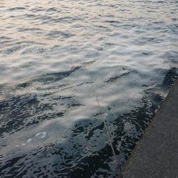 北風爆風朝練！