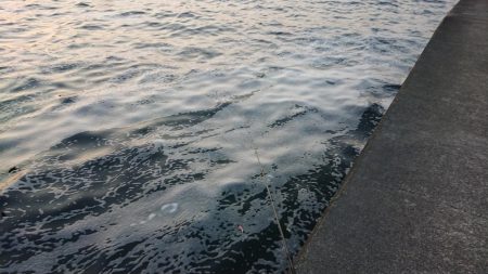 北風爆風朝練！