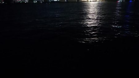 久々のナイトシーバス調査