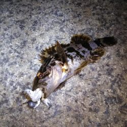 風が弱いので神戸空港へ