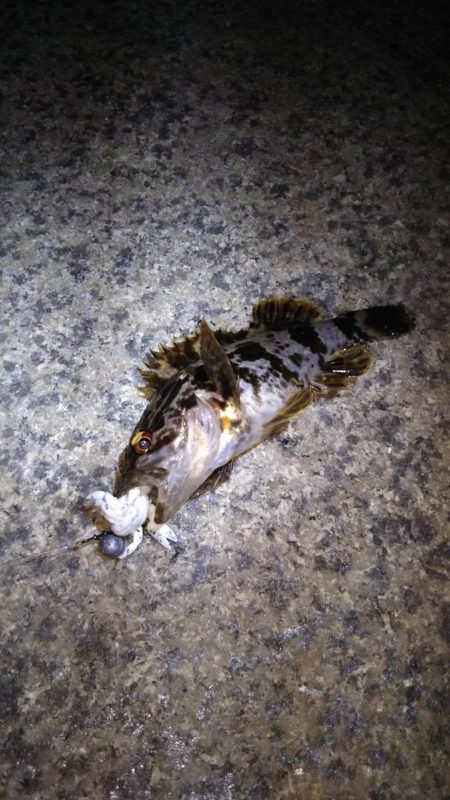 風が弱いので神戸空港へ