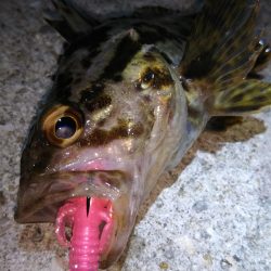 近所へ軽ーく❗️