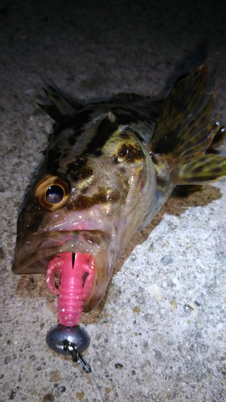 近所へ軽ーく❗️…