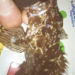 仕事帰りメバリング