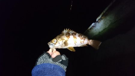 まだまだ寒いな