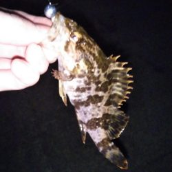 短時間ライトゲーム