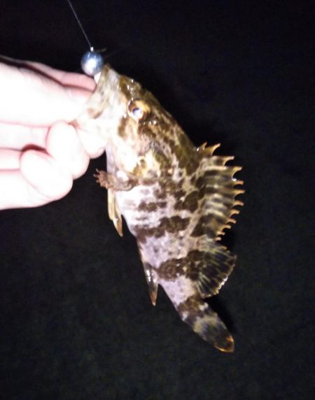 短時間ライトゲーム