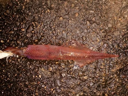 厳しくなりました