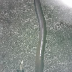 諦めかけたその時!4