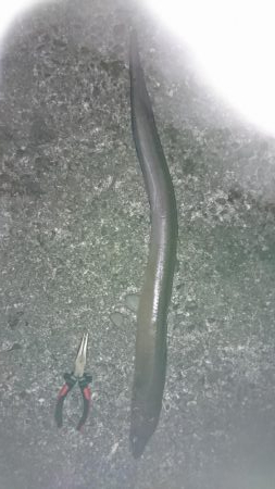 諦めかけたその時!4