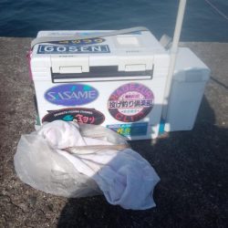 播磨新島でキス釣り