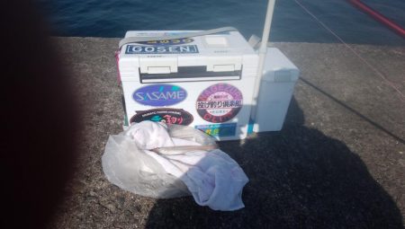 播磨新島でキス釣り