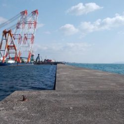 播磨新島でキス釣り