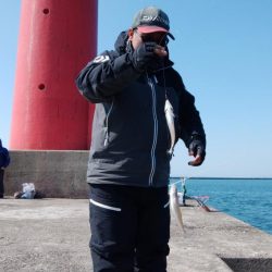 播磨新島でキス釣り