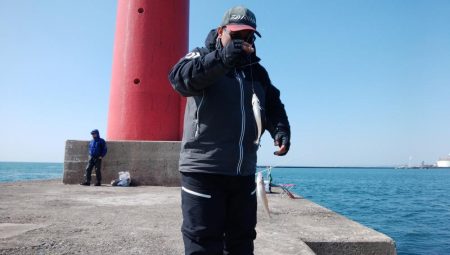 播磨新島でキス釣り