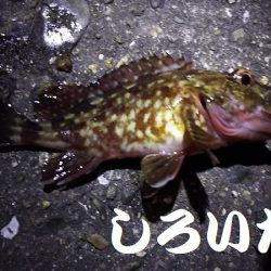 久しぶりに釣り。