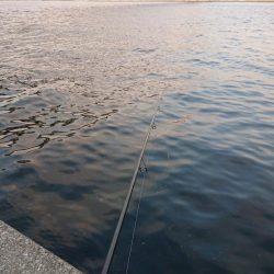 表層反転流でゴゴン！