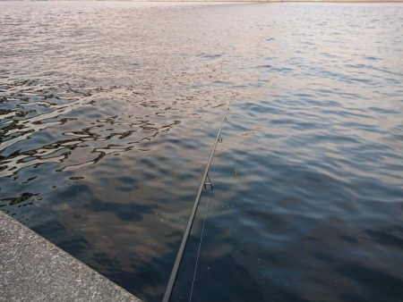 表層反転流でゴゴン！