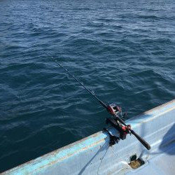 マダイ苦戦模様