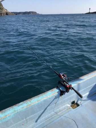 マダイ苦戦模様