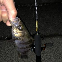 NEWのロッド鱗付けに