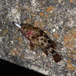 痛恨ラインブレイク