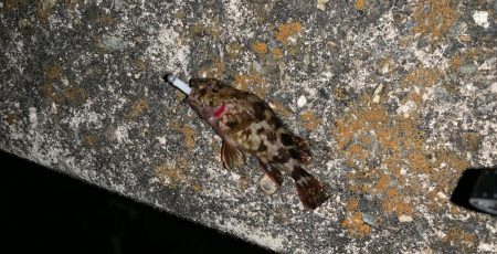 痛恨ラインブレイク