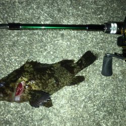 週末メバリング