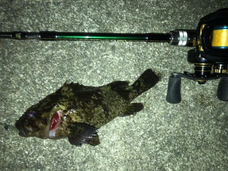 週末メバリング