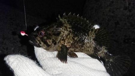 メバリング不調