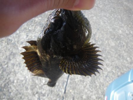 12時間耐久ライトロック