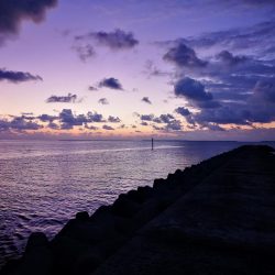 激シブ、やっと鱗つけ