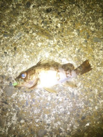 いつもと違う場所で…