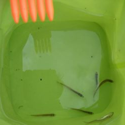 二年振りの余呉湖