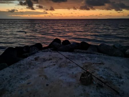 今日も強風で渋いです。