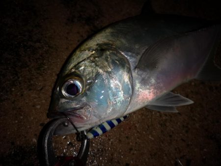 強風でも強いメタルジグ