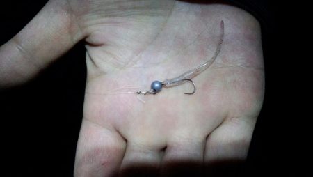 メバル短時合い