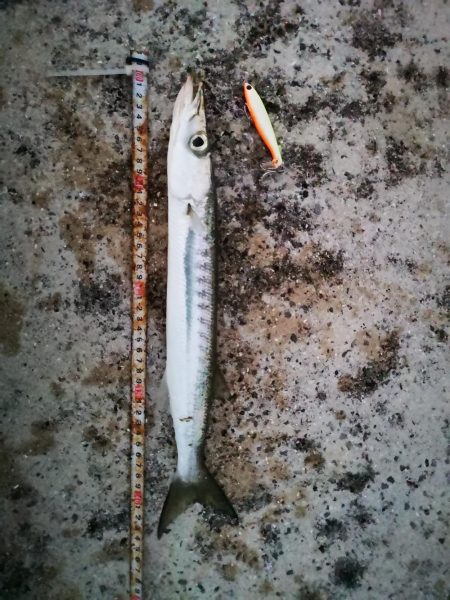 ルアーが変わっても釣れるのは同じ