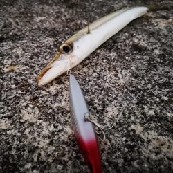 ルアー変われど釣れるのは同じオオメカマス